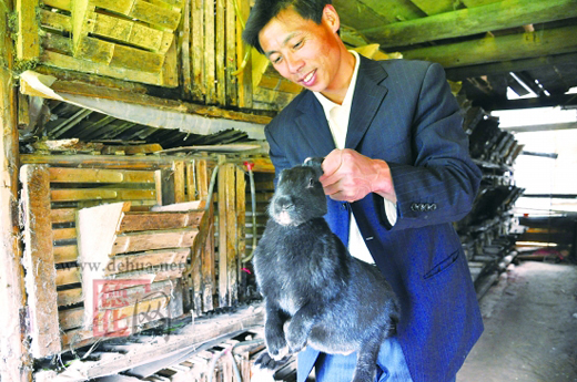 德化特色农业成富民产业