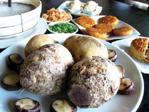 秋补四种素食更佳