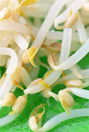 营养美味陪你过冬天