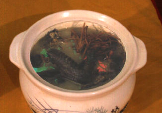 牛奶籽炖戴云黑鸡